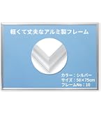 Amazon.co.jp: ソフケン アルミ額縁 スリムエイト ジグソーパズル1000